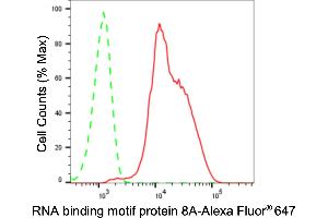 Flow cytometric analysis of RNA binding motif protein 8A expression in HeLa cells using RNA binding motif protein 8A antibody (ABIN7800255), 1:2,000).