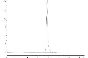 Size-exclusion chromatography-High Pressure Liquid Chromatography (SEC-HPLC) image for Basal Cell Adhesion Molecule (Lutheran Blood Group) (BCAM) (AA 32-548) protein (His tag) (ABIN7273931)