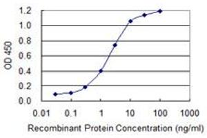 Detection limit for recombinant GST tagged TBR1 is 0. (TBR1 抗体  (AA 1-108))