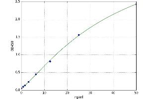 A typical standard curve (Fascin ELISA 试剂盒)
