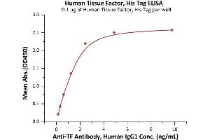 Immobilized Human Tissue Factor, His Tag (ABIN6973035) at 1 μg/mL (100 μL/well) can bind Anti-TF Antibody, Human IgG1 with a linear range of 0. (Tissue factor Protein (AA 33-251) (His tag))