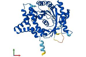 Protein Structure (PS) image for 1-Acylglycerol-3-Phosphate O-Acyltransferase 5 (Lysophosphatidic Acid Acyltransferase, Epsilon) (AGPAT5) (AA 1-365) protein (His tag) (ABIN7560881)