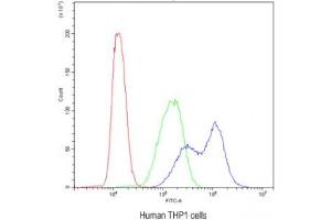 Flow cytometry testing of human THP1 cells with BIK antibody at 1ug/10^6 cells (blocked with goat sera) (BIK 抗体  (AA 1-123))