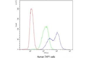 Flow cytometry testing of human THP1 cells with BIK antibody at 1ug/10^6 cells (blocked with goat sera)