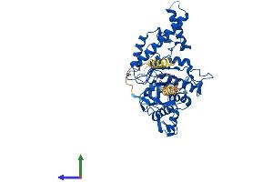 AlphaFold protein structure predicition of Mouse Recombinant Hyal4 Protein, UniprotID Q05A56