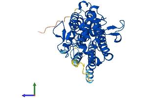 Protein Structure (PS) image for Indoleamine 2,3-Dioxygenase 2 (IDO2) (AA 1-405) protein (His tag) (ABIN7559643)