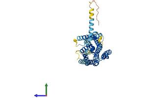 AlphaFold protein structure predicition of Human Recombinant GPR21 Protein, UniprotID Q99679