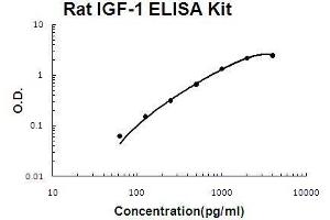 Rat IGF-1 PicoKine ELISA Kit standard curve