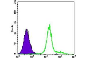 Flow Cytometry (FACS) image for anti-Hexokinase 1 (HK1) antibody (ABIN969195)