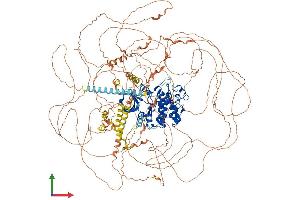 Protein Structure (PS) image for Cyclin-Dependent Kinase 13 (CDK13) (AA 1-1512) protein (His tag) (ABIN7553337)