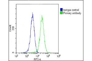 Overlay histogram showing Hela cells stained with (ABIN6243119 and ABIN6578706)(green line). (COPS7B 抗体  (AA 61-95))