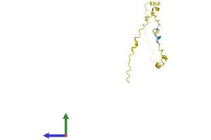 Protein Structure (PS) image for G Antigen 5 (GAGE5) (AA 1-117) protein (His tag) (ABIN7547862)