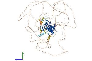 Protein Structure (PS) image for Establishment of Cohesion 1 Homolog 1 (ESCO1) (AA 1-843) protein (His tag) (ABIN7564014)