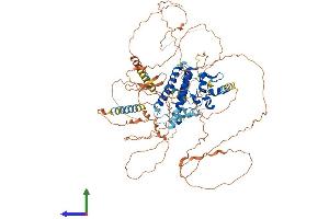 Protein Structure (PS) image for YY1 Associated Protein 1 (YY1AP1) (AA 1-796) protein (His tag) (ABIN7545712)