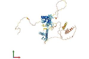 Protein Structure (PS) image for Neuro-Oncological Ventral Antigen 1 (NOVA1) (AA 1-507) protein (His tag) (ABIN7561642)