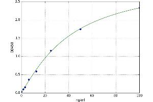 A typical standard curve