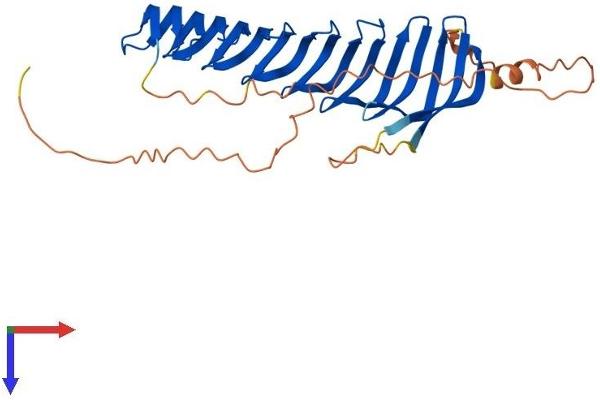RSPH1 Protein (AA 1-309) (His tag)