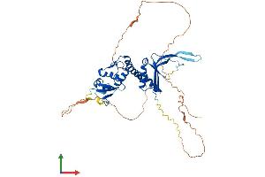 AlphaFold protein structure predicition of Mouse Recombinant Kctd20 Protein, UniprotID Q8CDD8