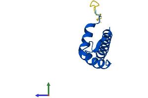 AlphaFold protein structure predicition of Human Recombinant CENPW Protein, UniprotID Q5EE01