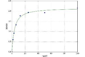 Serum Amyloid A2 (SAA2) ELISA Kit