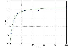 A typical standard curve (SAA2 ELISA 试剂盒)