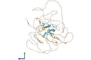 Protein Structure (PS) image for ATM Interactor (ATMIN) (AA 1-823) protein (His tag) (ABIN7552443)