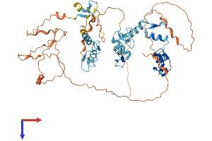AlphaFold protein structure predicition of Human Recombinant ZNF837 Protein, UniprotID Q96EG3