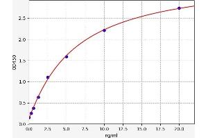 Typical standard curve (RUVBL1 ELISA 试剂盒)