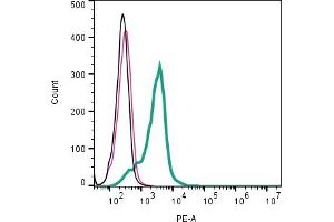 Cell surface detection of Opsin 3 by indirect flow cytometry in live intact human  monocytic leukemia cell line: + goat-anti-rabbit-PE. (OPN3 抗体  (Extracellular))