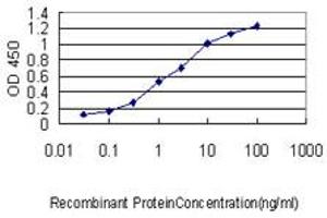 Detection limit for recombinant GST tagged C22orf18 is approximately 0. (CENPM 抗体  (AA 1-180))