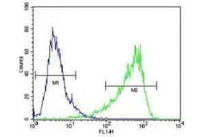 HIF1A antibody flow cytometric analysis of NIH3T3 cells (right histogram) compared to a negative control cell (left histogram). (HIF1A 抗体  (AA 519-547))