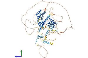 AlphaFold protein structure predicition of Mouse Recombinant Axin1 Protein, UniprotID O35625