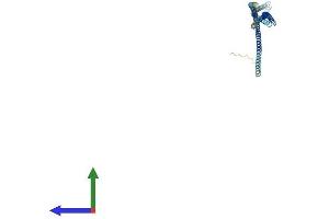 Protein Structure (PS) image for Trichoplein, Keratin Filament Binding (TCHP) (AA 1-498) protein (His tag) (ABIN7544301)