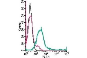 Cell surface detection of GPR171 in live intact human Jurkat T-cell leukemia cells: (black line) Cells. (GPR171 抗体  (Extracellular))