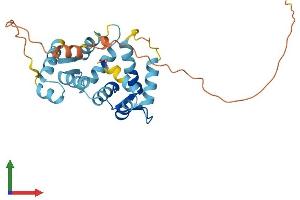 Protein Structure (PS) image for Kv Channel Interacting Protein 3, Calsenilin (KCNIP3) (AA 1-256) protein (His tag) (ABIN7553597)