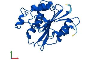 Protein Structure (PS) image for Retinoblastoma Binding Protein 9 (RBBP9) (AA 1-186) protein (His tag) (ABIN7551179)