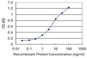 Detection limit for recombinant GST tagged GLE1 is 0. (GLE1 抗体  (AA 140-240))