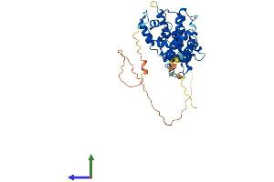 AlphaFold protein structure predicition of Human Recombinant CCNE2 Protein, UniprotID O96020