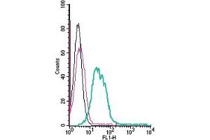 anti-Solute Carrier Family 39 (Zinc Transporter), Member 6 (SLC39A6) (AA 251-264), (Extracellular) antibody (FITC)