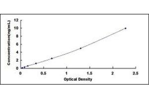 Typical standard curve (ASMT ELISA 试剂盒)