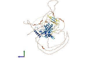 Protein Structure (PS) image for CDKN2A Interacting Protein (CDKN2AIP) (AA 1-725) protein (His tag) (ABIN7553030)