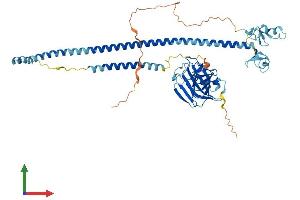 Protein Structure (PS) image for Tripartite Motif Containing 16 (TRIM16) (AA 1-556) protein (His tag) (ABIN7560467)