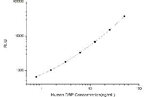 Vitamin D-Binding Protein (GC) CLIA Kit