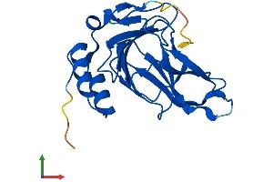 Protein Structure (PS) image for Cysteine Dioxygenase, Type I (CDO1) (AA 1-200) protein (His tag) (ABIN7553068)
