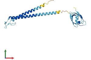Protein Structure (PS) image for Proteasome (Prosome, Macropain) 26S Subunit, Non-ATPase, 9 (PSMD9) (AA 1-222) protein (His tag) (ABIN7560595)