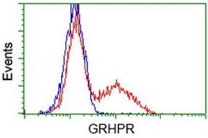 HEK293T cells transfected with either RC200963 overexpress plasmid (Red) or empty vector control plasmid (Blue) were immunostained by anti-GRHPR antibody (ABIN2453972), and then analyzed by flow cytometry. (GRHPR 抗体)