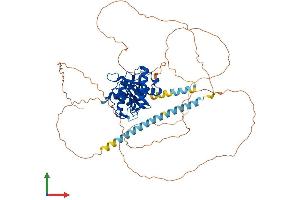 Protein Structure (PS) image for SUMO1/sentrin Specific Peptidase 1 (SENP1) (AA 1-640) protein (His tag) (ABIN7563472)