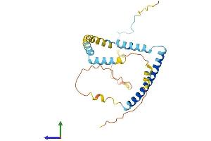 AlphaFold protein structure predicition of Human Recombinant TPD52 Protein, UniprotID P55327