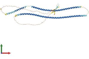 Protein Structure (PS) image for Keratin 8 (KRT8) (AA 1-483) protein (His tag) (ABIN7548577)