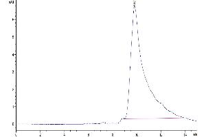 The purity of Mouse FGF21 is greater than 95 % as determined by SEC-HPLC.
